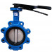 Butterfly Valve Lug Style Butterfly Valve Ductile Iron 4" Pipe Size Class 150