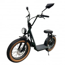 1000W E-Bike With 20inch Fat Tire and 20Ah Lithium Battery Fat Tire Scooter Max Speed 34Mph & 62Miles Range