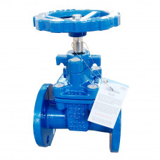 Gate Valve 2-1/2" Ductile Iron Flanged NRS Resilient Wedge Gate Valve Hand Wheel 200 Psi Water Oil Applicable