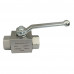 Handle High Pressure Ball Valve with 1/2'' NPT 2WAY