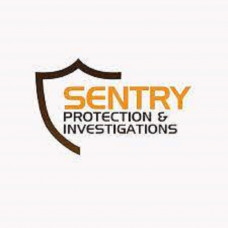 Sentry Pro - Column Sentry® – fits 10"x10" Square Column